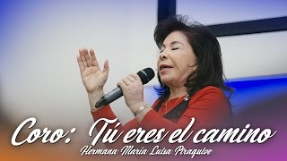 Coro Tu eres el camino Hna María Luisa Piraquive [upl. by Kerin474]