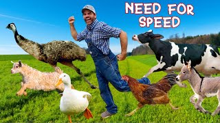 Whos the Fastest Animal on the Farm Educational Farm Video For Kids [upl. by Moreno]