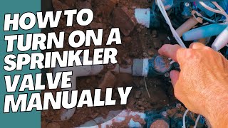 How To Turn On A Sprinkler Valve Manually  Rain Bird PGA Valve [upl. by Anevad]