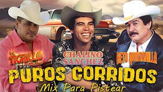 Chalino Sanchez Beto Quintanilla y El Tigrillo Palma  Puros Corridos Mix Para Pistear [upl. by Mcadams934]