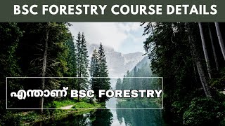 BSC Forestry Course Details in Malayalam  What is BSC Forestry  Career Guidance in Malayalam [upl. by Redle739]