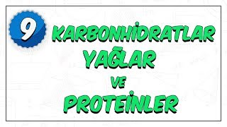 9 Sınıf Biyoloji  Enerji Veren Organik Bileşikler  Karbonhidratlar Yağlar Proteinler [upl. by Nitreb]