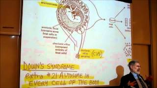 BIOLOGY CHROMOSOME ANOMALIES amp GENETIC DISEASES by Professor Finkwmv [upl. by Kellina]