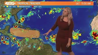 Saturday Tropical Update Disturbance keeps Gulf Coast rainy this weekend [upl. by Couture777]