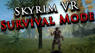 I Turned Skyrim VR Into an INSANE Hardcore Survival Game [upl. by Wemolohtrab734]