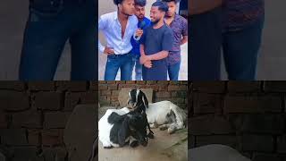 Tum kiya bana chata hu😅 funny comedy nature [upl. by Seumas]