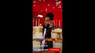 Burna Boy y quot Love Daminiquot [upl. by Naired]