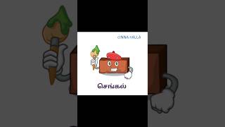 வீட்டு உபயோக பொருட்கள்Household items in Tamillist of household items video for kids and children [upl. by Knut340]