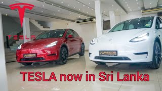 Tesla Cars Now Available in Sri Lanka [upl. by Zullo]