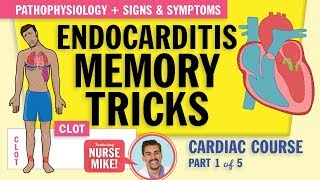 Endocarditis Pathophysiology signs and symptoms for nursing students NCLEX review [upl. by Orpheus]