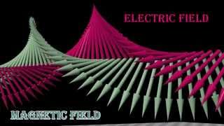 Polarization of Light circularly polarized linearly polarized unpolarized light [upl. by Nilyac]