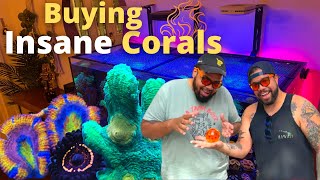 Buying insane corals Crazy Frankenstein Bounce Mushroom [upl. by Akinuahs]