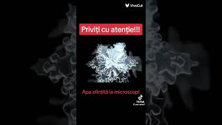 Apa sfințită la microscop [upl. by Attennek]