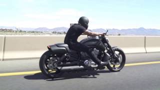 Custom VRod Muscle Cruising [upl. by Nothgiel569]