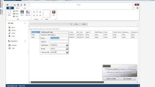 DevExpress WinForms Getting Started with the Grid Control [upl. by Furlani440]