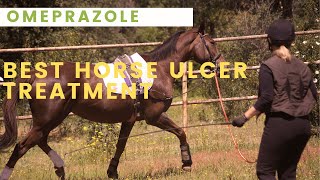 Horse Ulcer Treatment Whats Best [upl. by Brinn369]