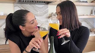 Making Pumpkin Champagne Cocktails  DIY with Nikki amp Brie [upl. by Annavaj]