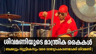 INSTRUMENTAL FUSION  Drums sivamanis marvellous performance [upl. by Ennovahc]