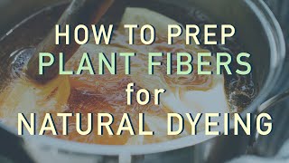 How To Mordant Cellulose Fibers [upl. by Donelson378]