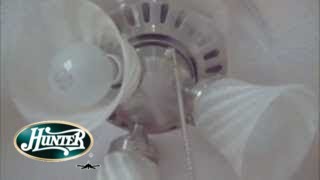 42quot Hunter Beacon Hill Ceiling Fans Old Video [upl. by Anig853]