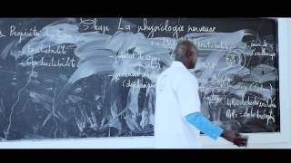 Cours  Terminale  SVT  La Physiologie nerveuse suite 5 [upl. by Ailekahs]