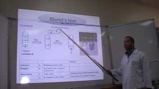 Biurets test Part 1 Identification of Proteins [upl. by Nodnalb]