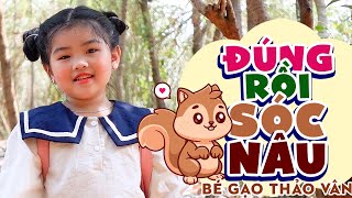 ĐÚNG RỒI SÓC NÂU  Nhạc Thiếu Nhi Mới Vui Nhộn Sôi Động Cho Bé ♪ Bé THẢO VÂN MV Official [upl. by Juliet841]