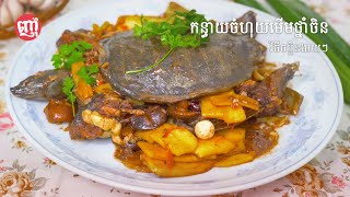 Steamed Softshell Turtle with Chinese Medicine  កន្ធាយចំហុយមើមថ្នាំចិន [upl. by Uzziel]