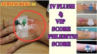 Visual Infusion of Phlebitis  VIP  Score।। PHLEBITIS SCORE । VIP score । IV line assessment score। [upl. by Ednil544]