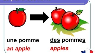 French Lesson 92  Plural nouns Grammar Rules Pronunciation  Le pluriel des noms en français [upl. by Higginson]