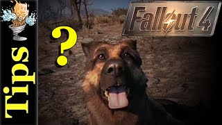 Lost Dogmeat in Sanctuary Hills  Fallout 4 PS4 [upl. by Elna]