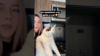 Ayer nos espantaron a mi gatita y a mi 🥺 miedo viralvideo scary [upl. by Ursola]