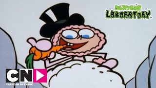 Snowball Fight  Dexters Laboratory  Cartoon Network [upl. by Naerb]