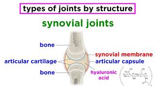 Joints Structure and Types of Motion [upl. by Tekcirc]