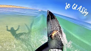 Glassy Shorebreaks at Brighton POV SURF [upl. by Arukas]