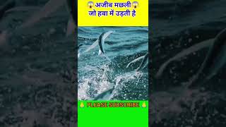 ये मछली हवा में कैसे उड़ती है  EXOCOETIDAE FISH  FACTS  a2motivation [upl. by Ahsehat]