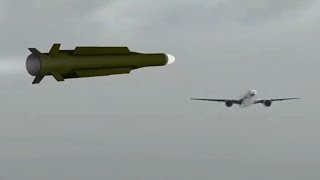 Malaysia Airlines flight 17  Crash animation [upl. by Gurtner]