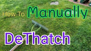 How To DeThatch A Lawn With A Thatch Rake [upl. by Ecadnak]