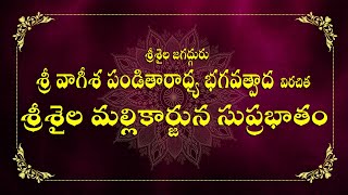 Srisaila Mallikarjuna Suprabhatam  జగద్గురు శ్రీ వాగీశ పండితారాధ్య భగవత్పాద కృత శ్రీశైల సుప్రభాతం [upl. by Zehc484]