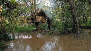 BERKEMAH HUJAN DERASMEMBANGUN RUMAH POHON YANG NYAMAN DI PINGGIR SUNGAI MANCING IKAN DAN BELUT [upl. by Arukas]