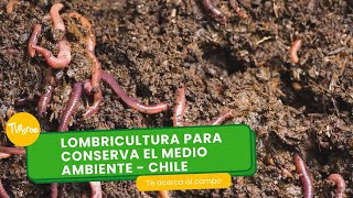 Lombricultura 🪱 para conservar el medio ambiente🌿 Chile  TvAgro por Juan Gonzalo Angel Restrepo [upl. by Leahcimed978]