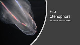 Zoologia  Filo Ctenophora [upl. by Happy961]