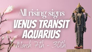 Venus transit Aquarius  All Rising Signs  March 7th  30th [upl. by Leesen]