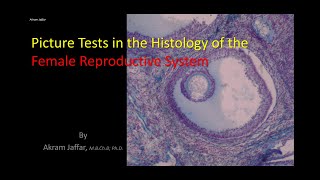 Picture tests in histology reproductive system  female [upl. by Hsivat645]