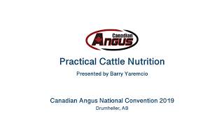 Practical Cattle Nutrition presented by Barry Yaremcio [upl. by Ailecara]