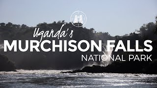 Murchison Falls National Park Uganda  2023 [upl. by Grindlay]