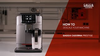 HOW TO DESCALE YOUR GAGGIA CADORNA PRESTIGE [upl. by Idoux]