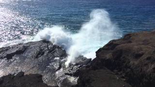 Halona Blowhole Oahu [upl. by Ettesel]