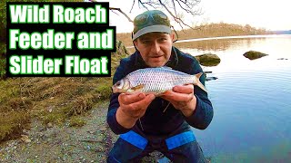 Fishing Big waters For Big Roach  Feeder and Slider Float Fishing Scotland UK [upl. by Samid769]