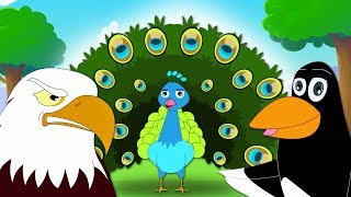 Aesops Fables  The Peacock And The Magpie  HooplaKidz [upl. by Macri]